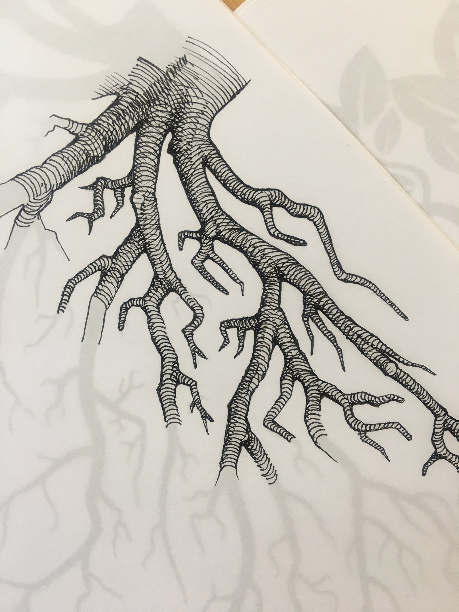 Detail 17